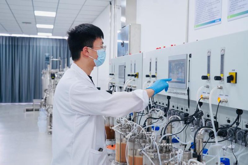 生物技术研发：推动生命科学创新的新引擎