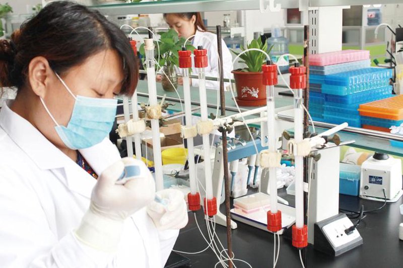 生物技术外包：开启合作新篇章